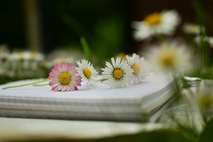 Caderno em branco com flores Caderno em branco com flores