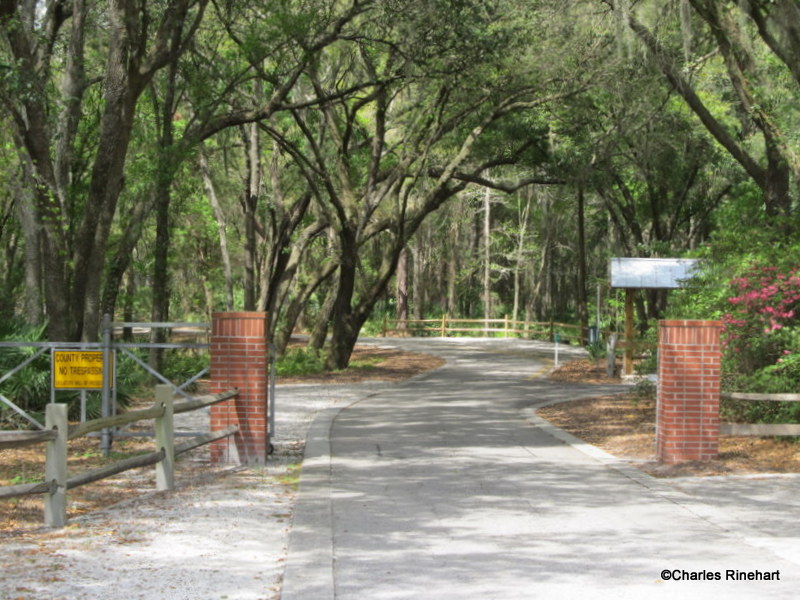 Lettuce Lake Park In Tampa Florida Lettuce Lake Park In Tampa Is A