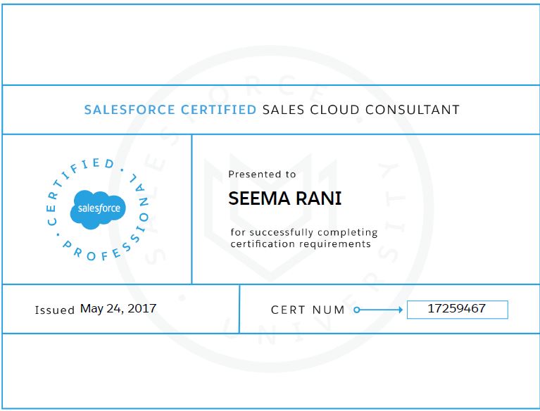 Sales-Cloud-Consultant Deutsch Prüfung