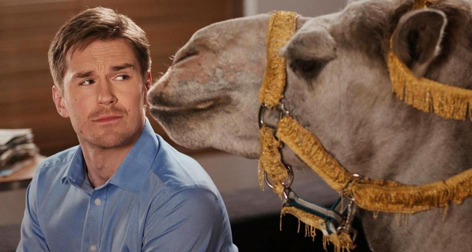 camel dating advert