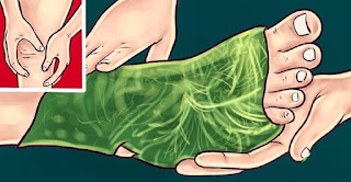 Wrap Your Legs In Cabbage Leaves To Relieve Joint Pain