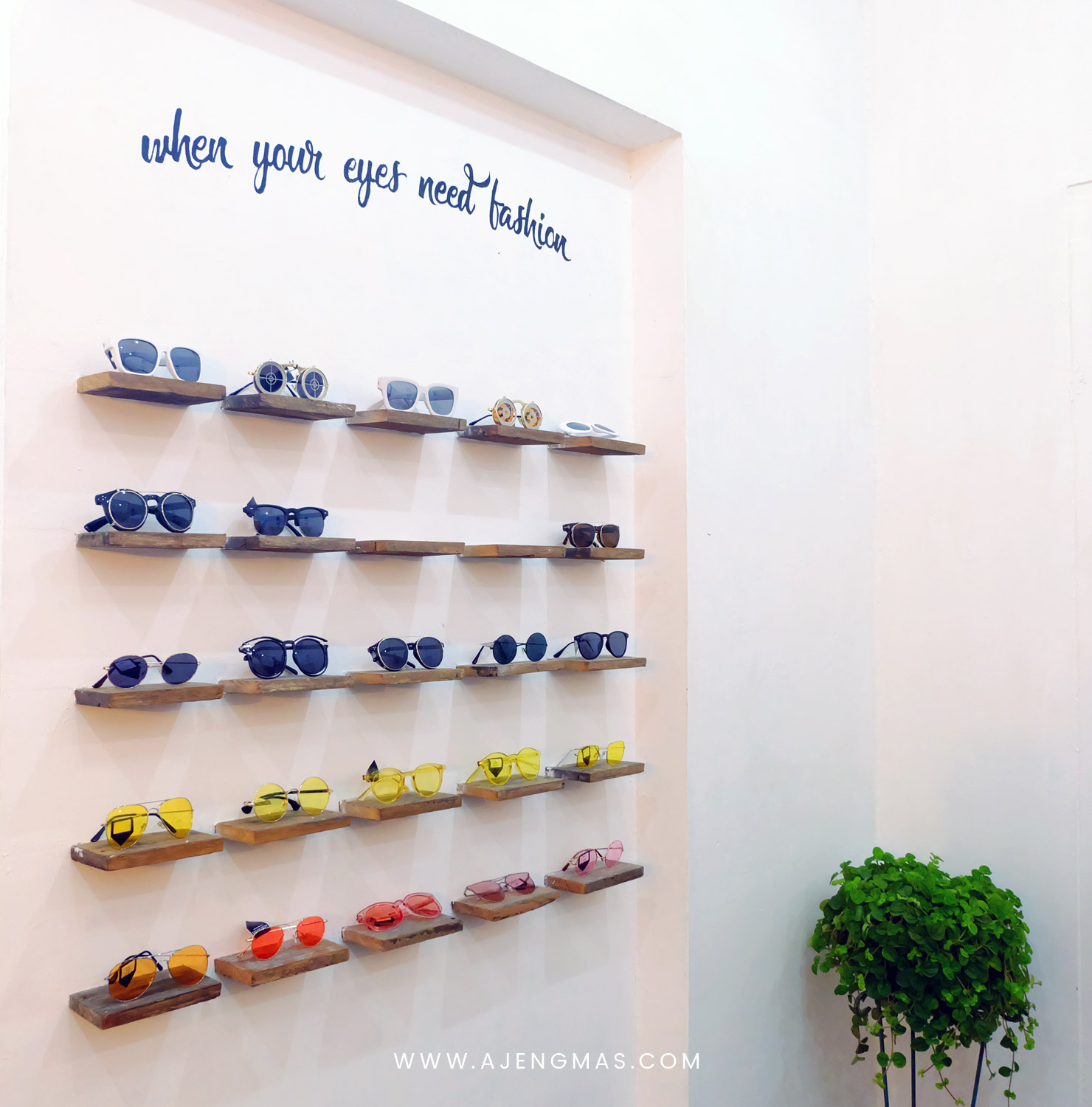 roglasses-iwearroglasses-egopro-opening-new-store