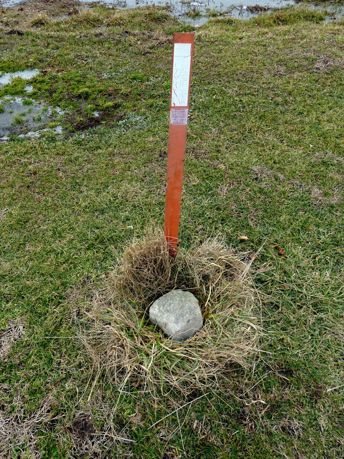 Landmarks Patty Cannon and the Tangent Line