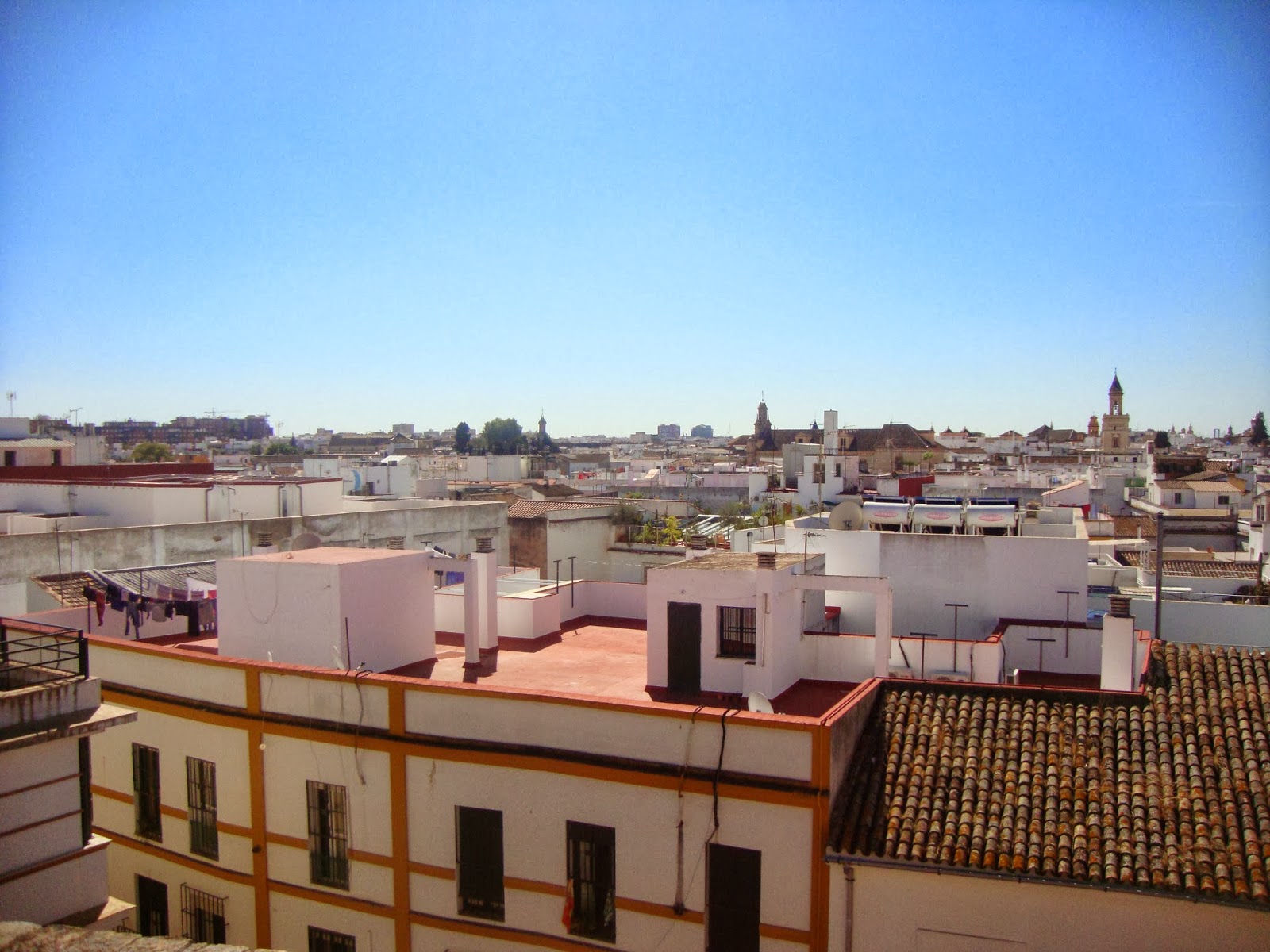 El Mirlo Observador: octubre 2013