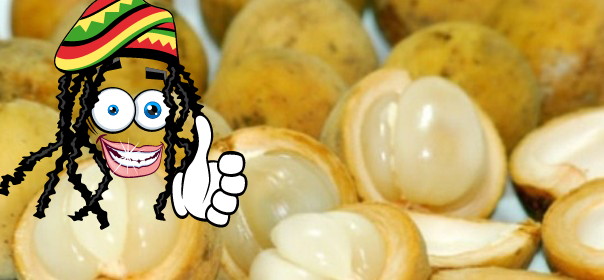 Manfaat Atau Khasiat Buah Duku Bagi Kesehatan