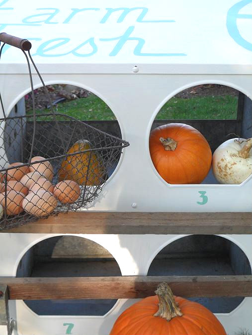 town and prairie Chicken Coop Catch All