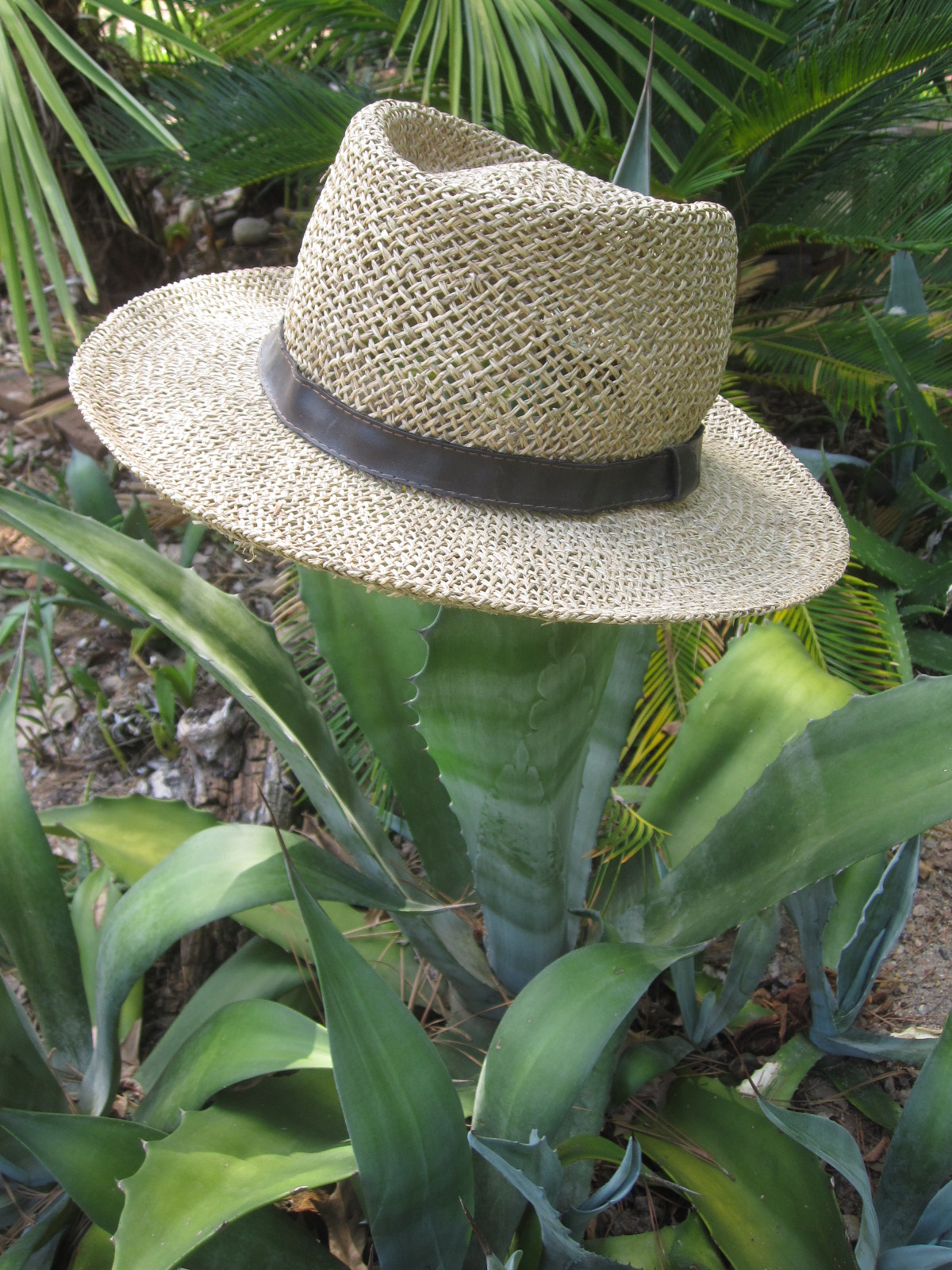 Tropical Texana MY STRAW HAT COLLECTION