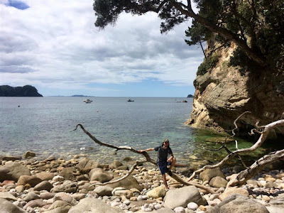 Intercâmbio Nova Zelândia - A exótica praia de Cathedral Cove em Coromandel