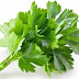 Powerful and proven health benefits of Coriander Leaves