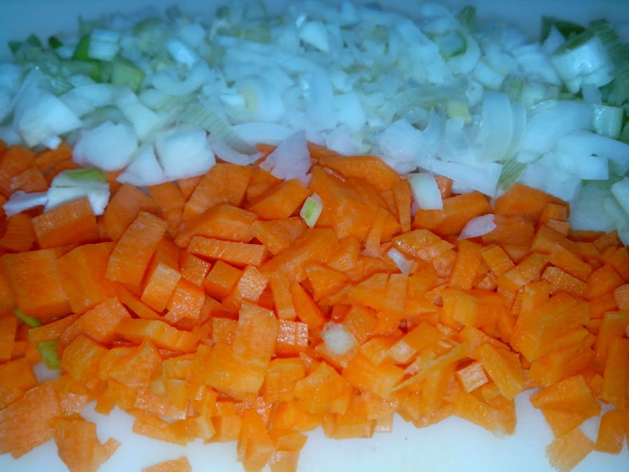 Fotografía cebolla y zanahoria.