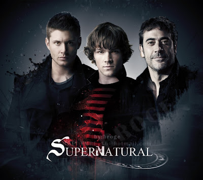 Resultado de imagem para spn papel de parede 4