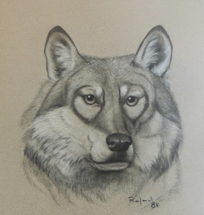 Dibujo a pastel y tiza sobre papel