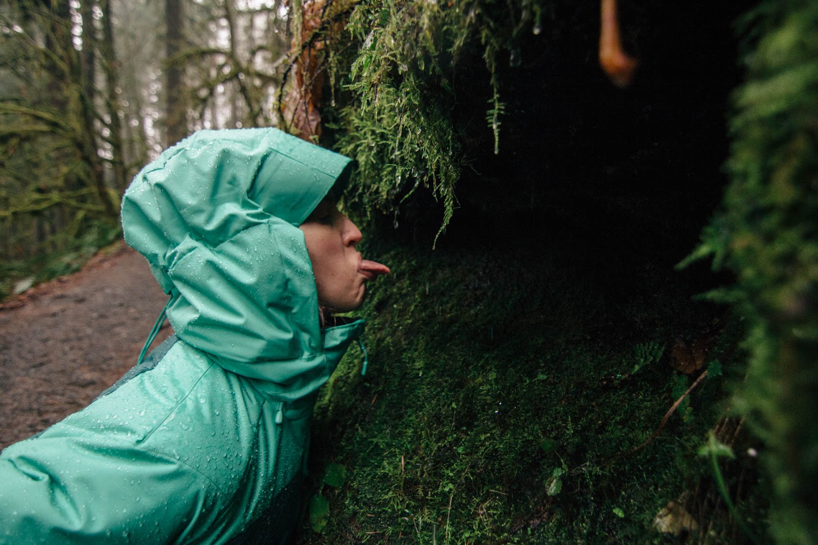 SILVER FALLS Christmas 2016 ROBBLAHBLOG