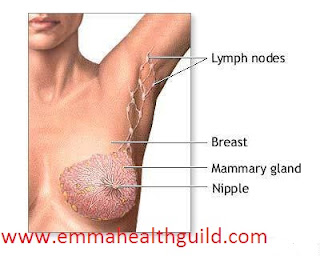 breast-cancer-deodorant