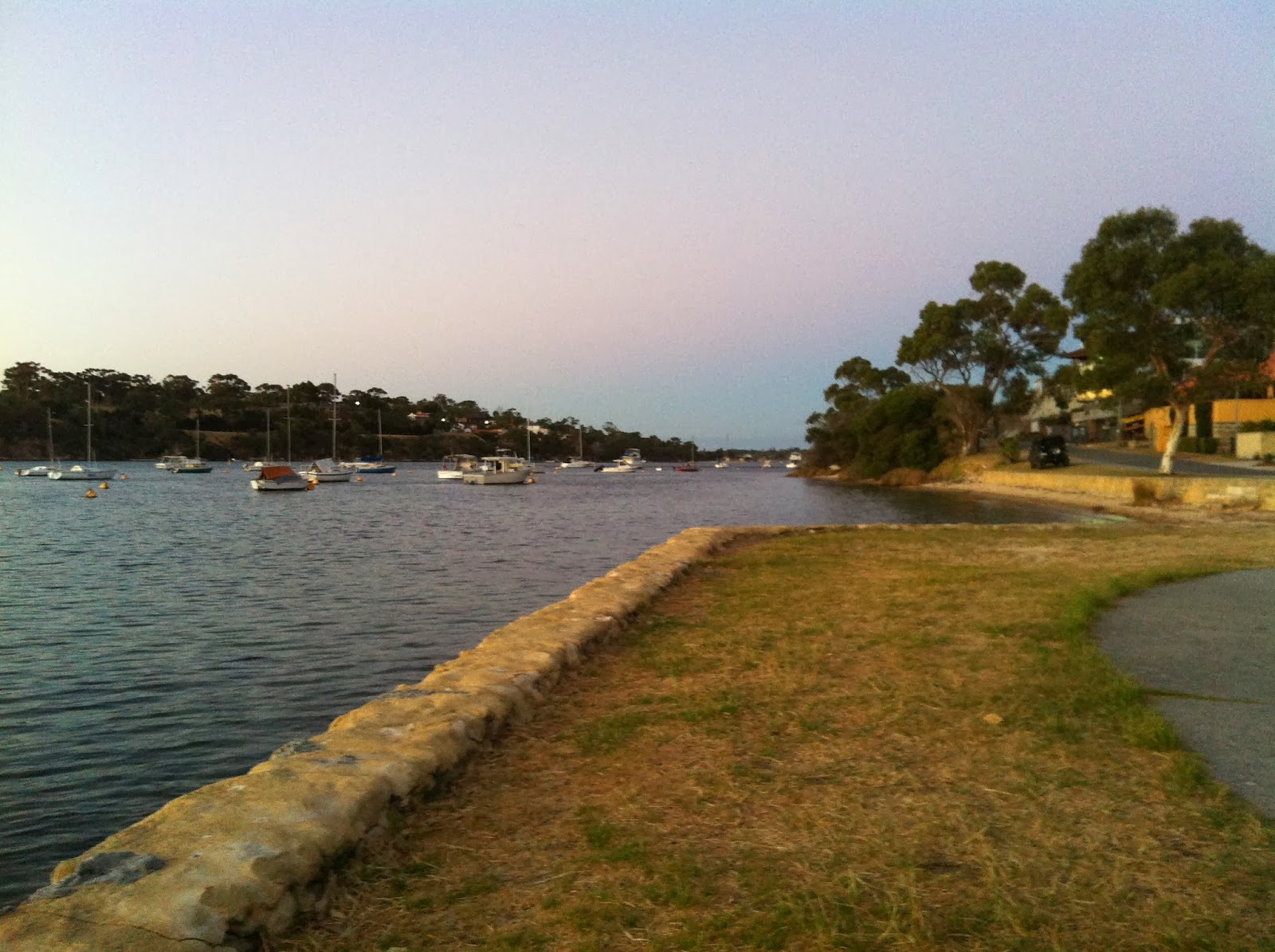 GOTYAFISH BLACKWALL REACH BLUE SWIMMER CRABS