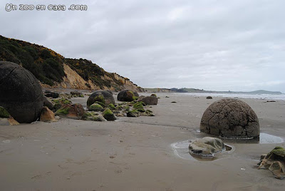 Playa Koekohe, con sus famosas piedras rodantes Moeraki Boulders