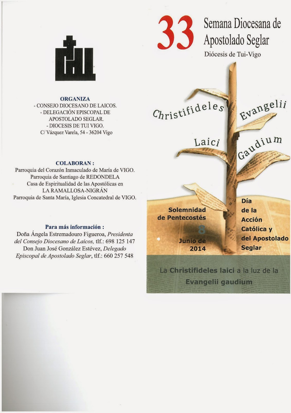 Apostolado Seglar Diócesis Tui - Vigo: Actividades