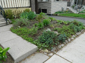 Monarch Park spring garden cleanup after by Paul Jung Gardening Services Toronto