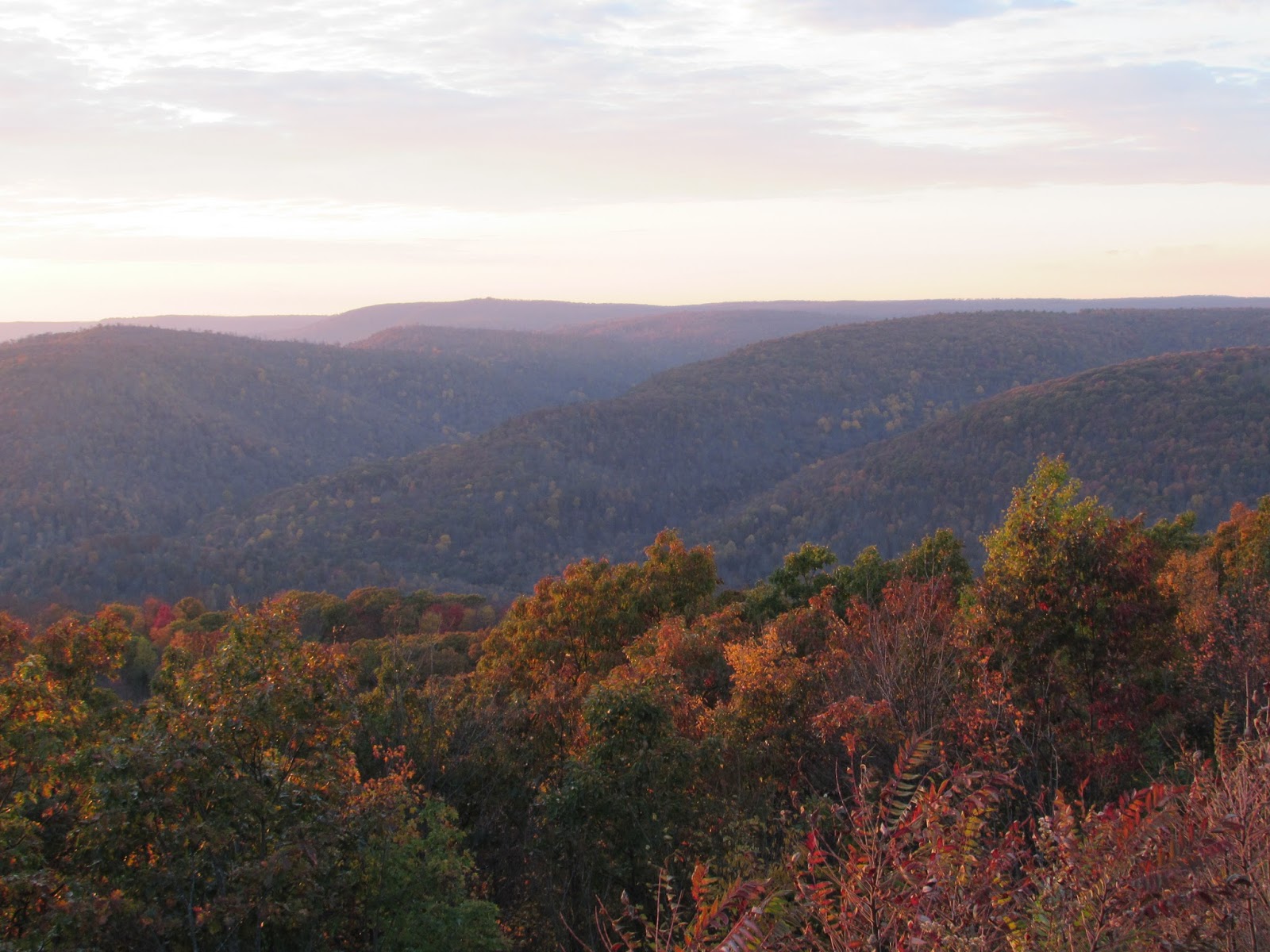 High Knob Overlook and Dry Run Falls Loyalsock State Forest, Sullivan