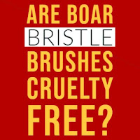 https://www.hairbrushy.com/2019/03/are-boar-bristle-brushes-cruelty-free.html