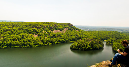 Along the Metacomet Trail 