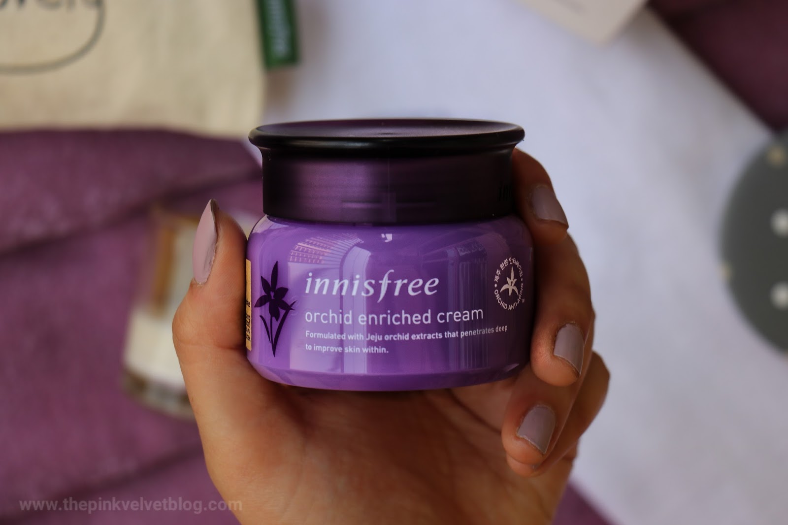 Innisfree Orchid Enriched Cream Review 5 Innisfree Orchid Enriched Cream Review