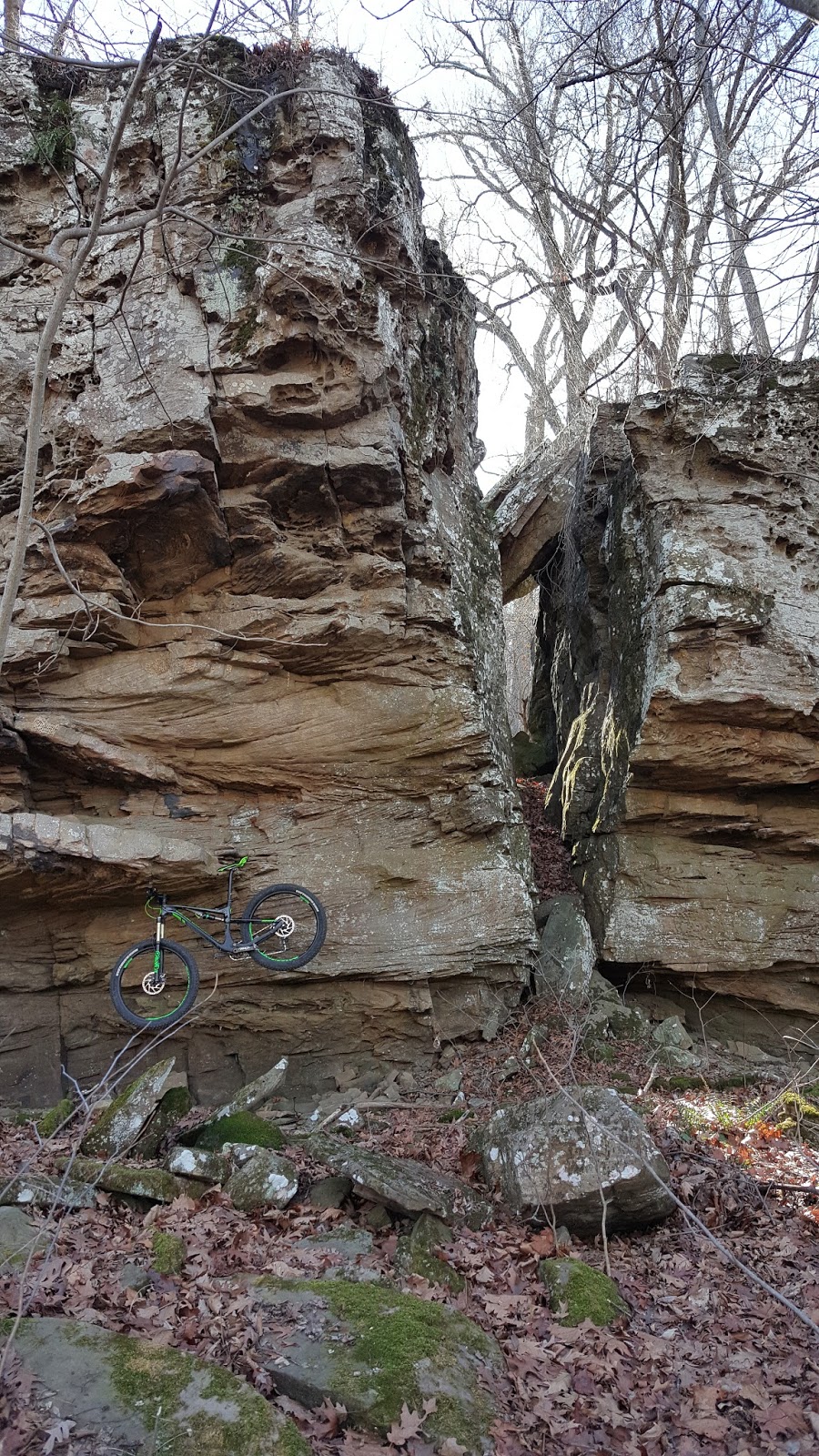 The Adventures of Captain Cuntwat and Princess Boner Ghost A