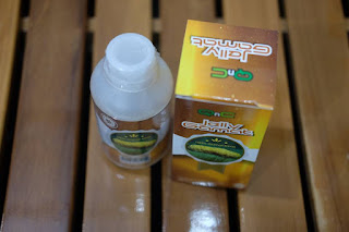 QnC Jelly Gamat Cara Menyembuhkan Tipes