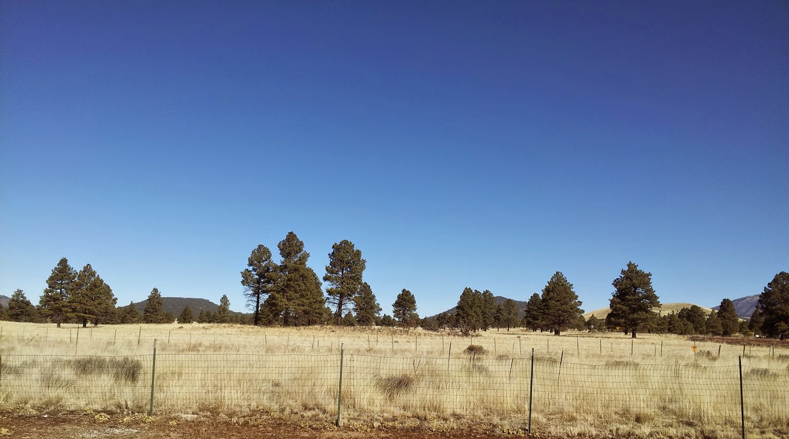 VAGABOND ZEN Arizona {50 States of Yoga}