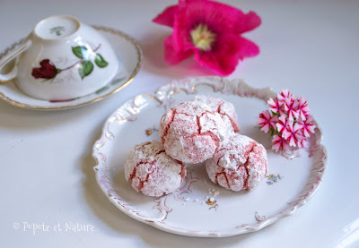 Amaretti aux biscuits de Reims © Popote et Nature Amaretti aux biscuits de Reims