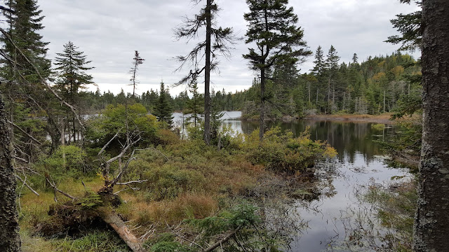 Petit lac près de l'abri du Versant Ouest sur la montagne du Diable