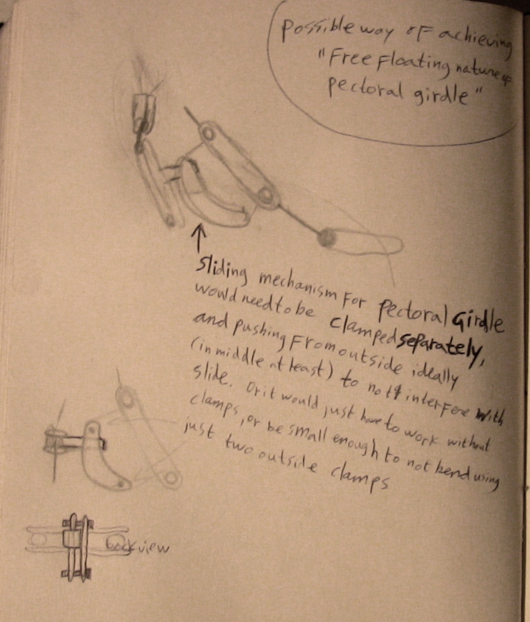 making a bird armature