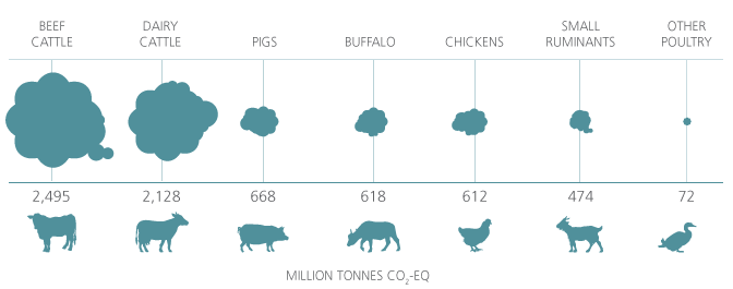 Cattle are the main contributor to the sector's emissions with about 4.6 million tonnes CO2