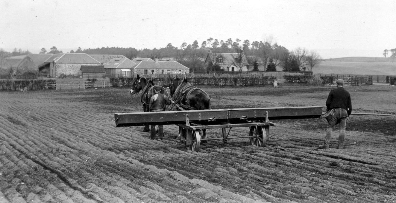 Tour Scotland Old Photograph Farming Blairgowrie Perthshire Scotland
