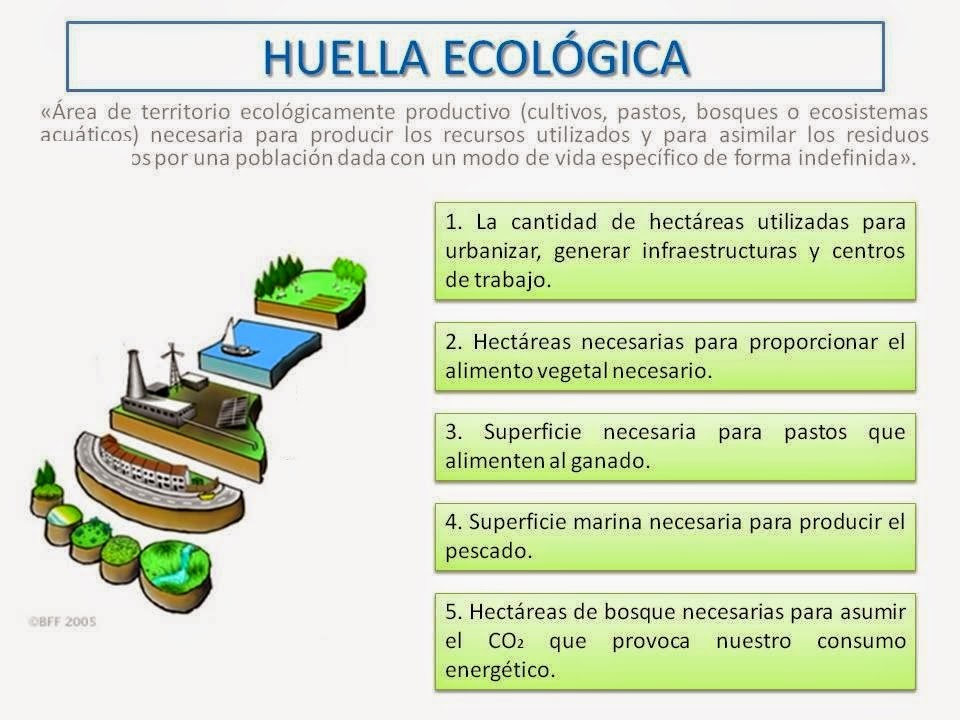Y UNA TIZA AL CIELO Huella ecológica Y UNA TIZA AL CIELO Huella ecológica
