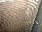 This is the side of the wall that need cleaning of bugs Spray this area with a water hose