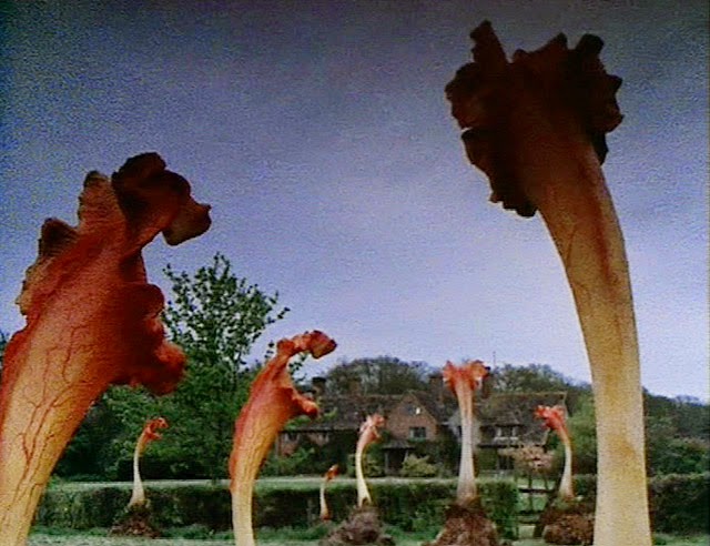 the+day+of+the+triffids.jpg