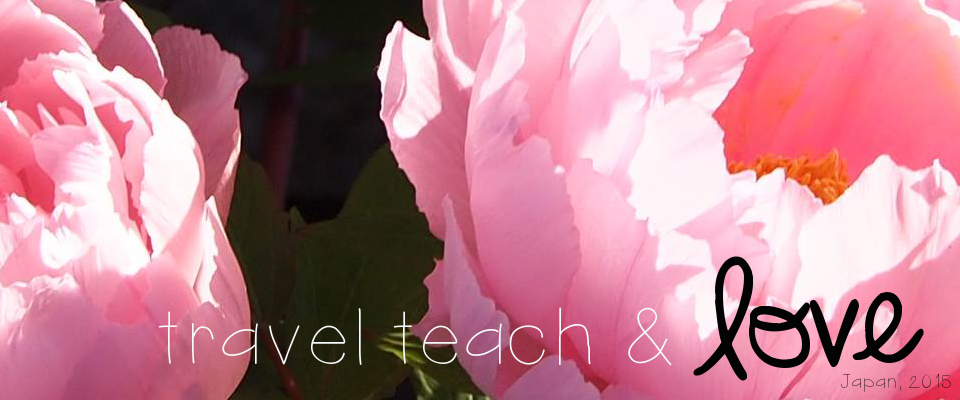 travel, teach, and love