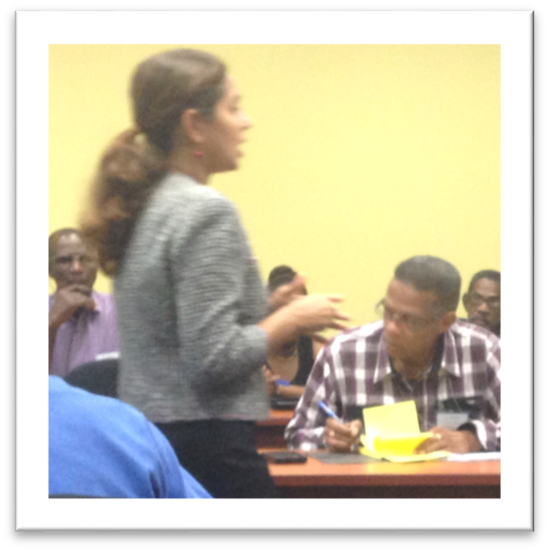 Green Days by the EPPD NOU Public Awareness Activities and Training