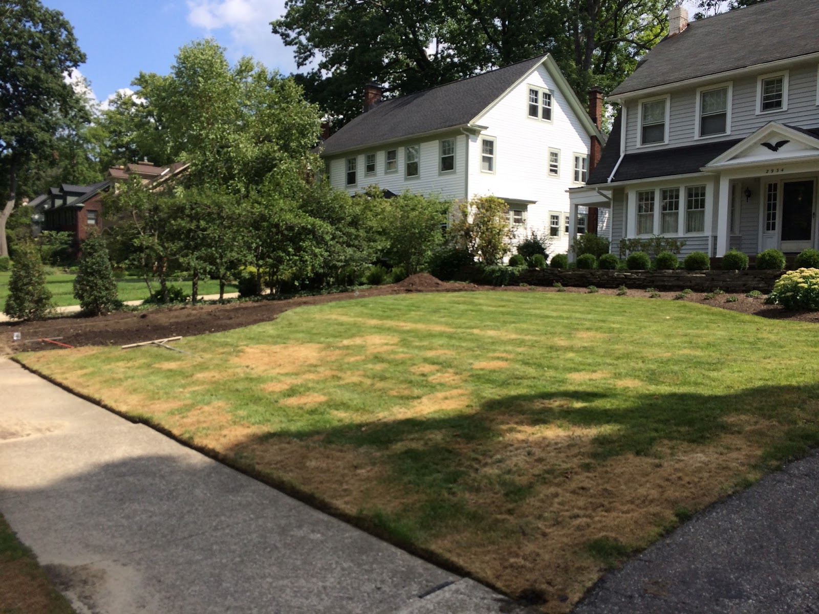 Lawn Lad Landscaper Controlling And Eliminating Creeping Creeping Bentgr Patches Show Signs Of Stress And Begin To Off After One Treatment From Our Program