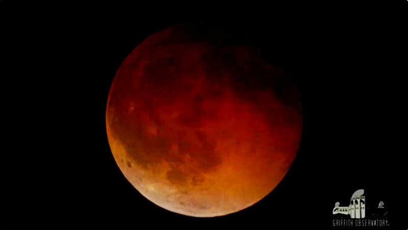 Foto Eclipse Lunar Total Lua de Sangue 15 de abril de 2014