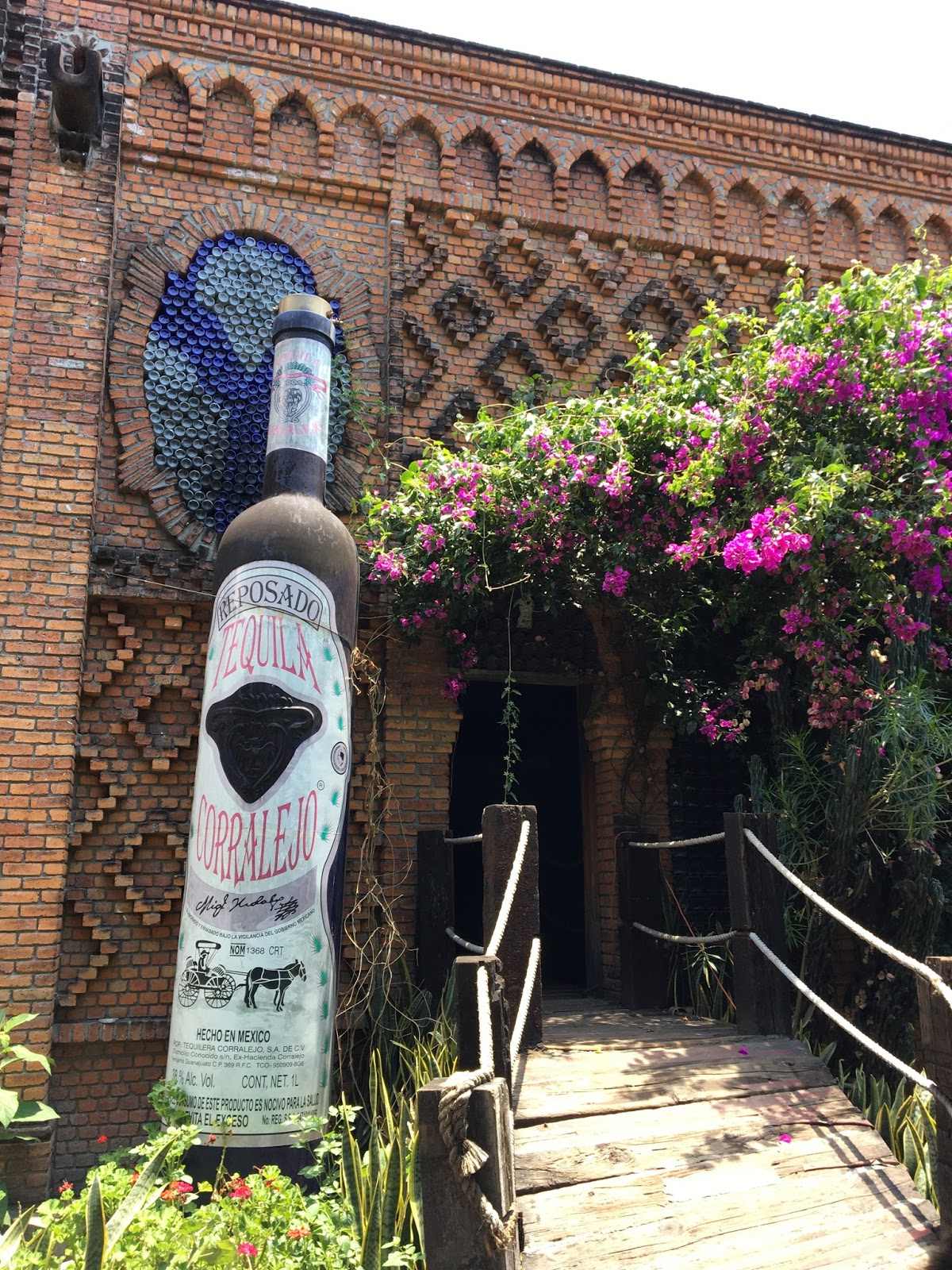 XEvil71 Tequila Corralejo