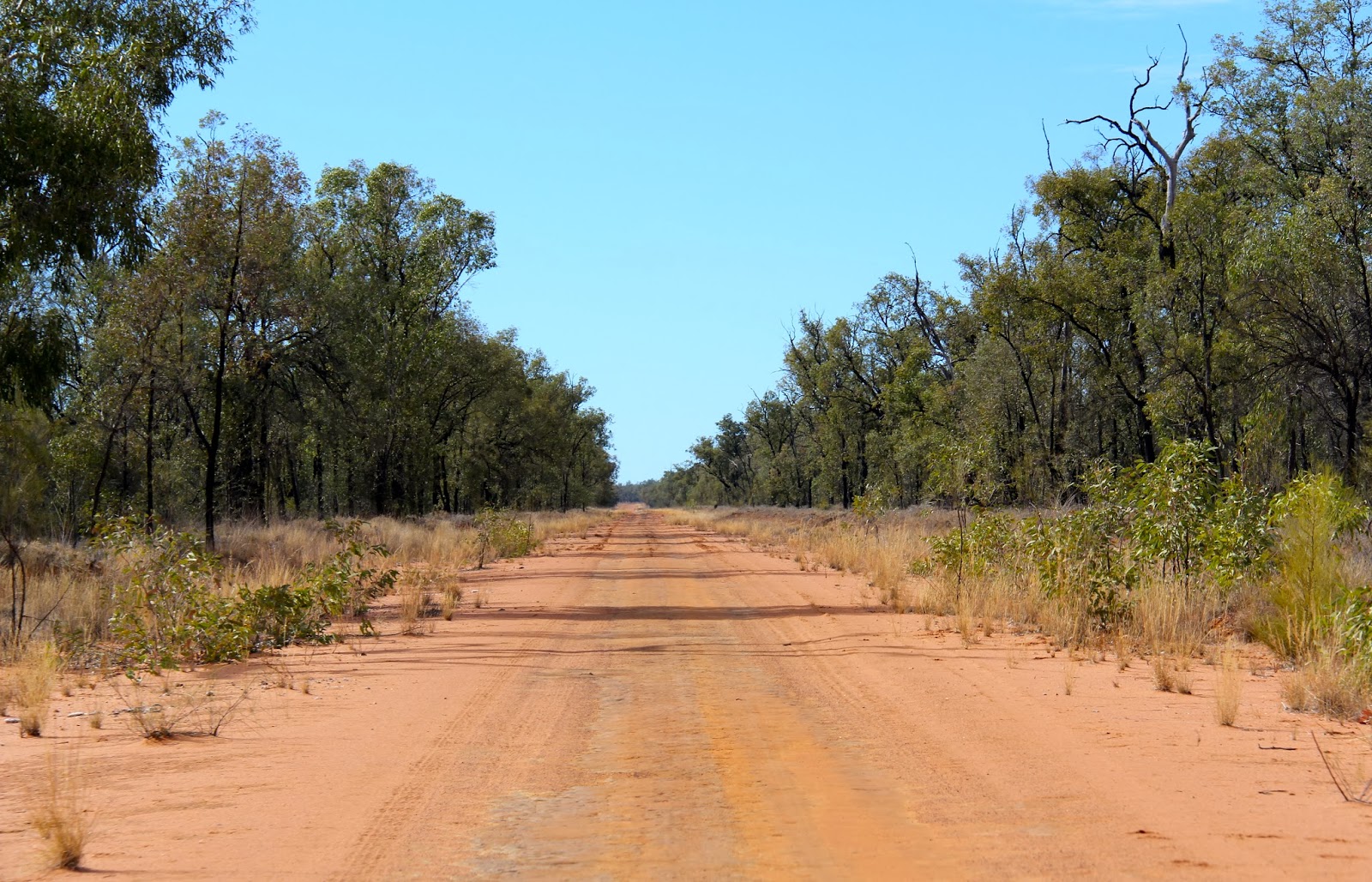 Hey Jude in Brisbane Out of the Outback Longreach to Carnarvon