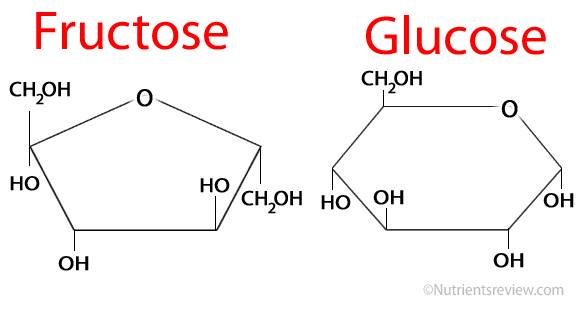 freeze honey explain science freeze honey explain science