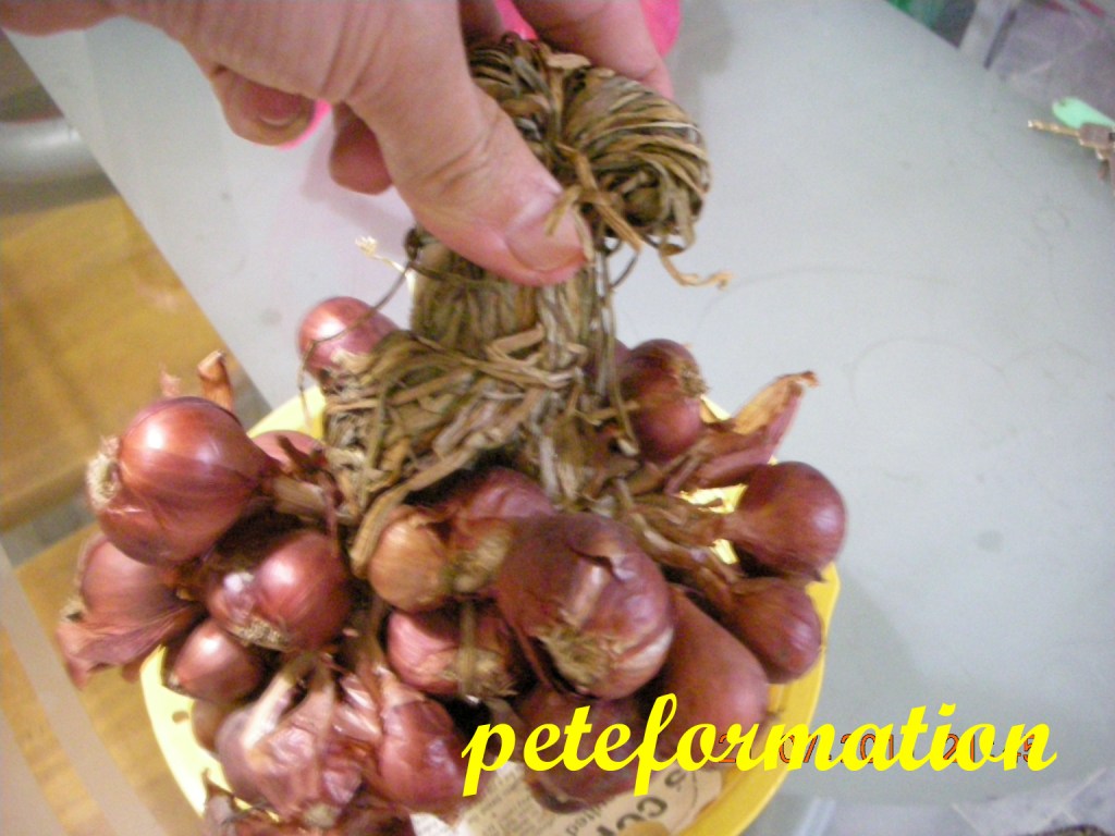 PeteFormation Foodie Adventure A 'Whole' Bunch of Fresh Shallots