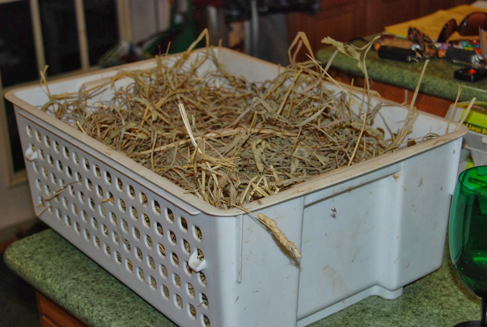 Kid Friendly Organic Life My Fantasy Root Cellar!