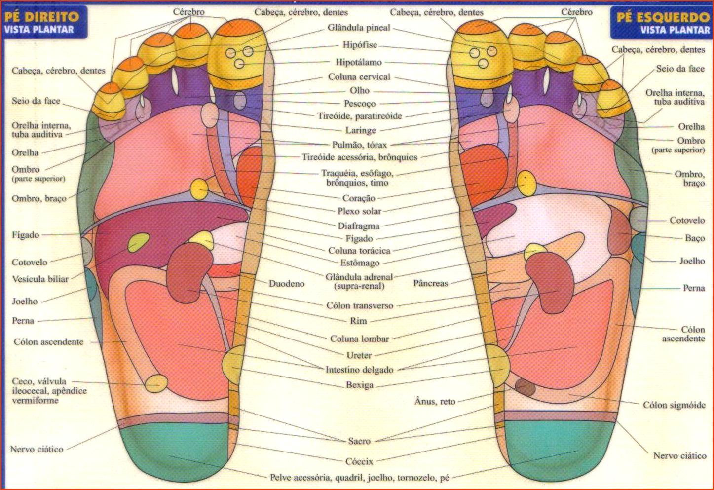 MEDICINA ALTERNATIVA: REFLESOLOGIA PODAL MEDICINA ALTERNATIVA: REFLESOLOGIA PODAL