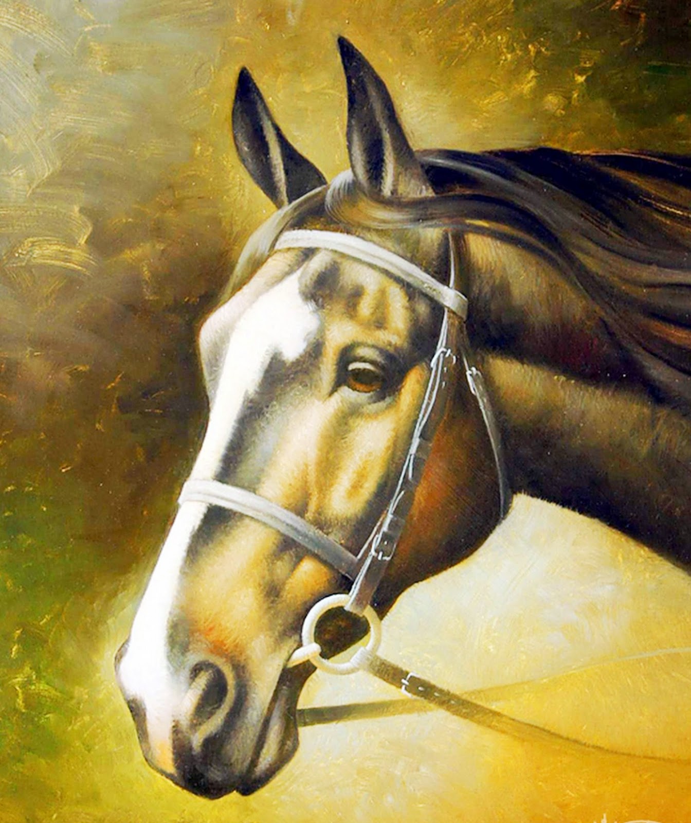 cuadros de caballos al oleo cuadros modernos pinturas y dibujos cuadros de caballos cuadros de caballos al oleo cuadros modernos pinturas y dibujos cuadros de caballos