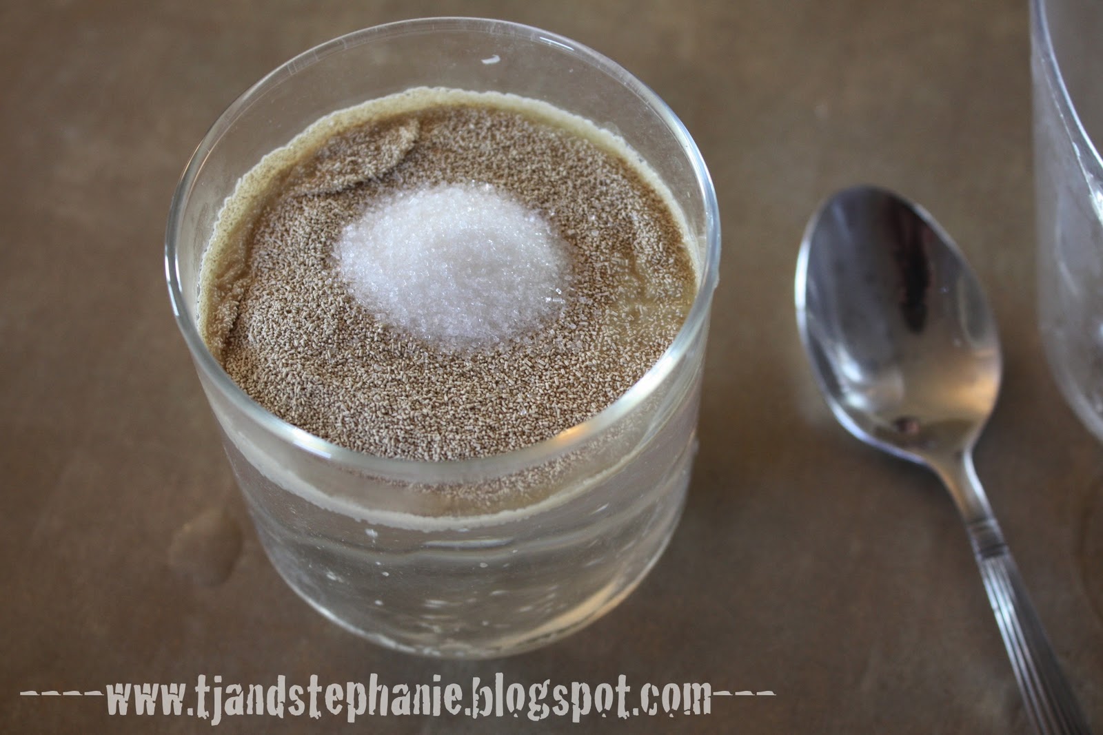 When you're Wright, you're right. Experimentyeast