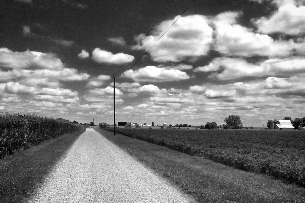 Happenstance Photography Illinois Farmland In July